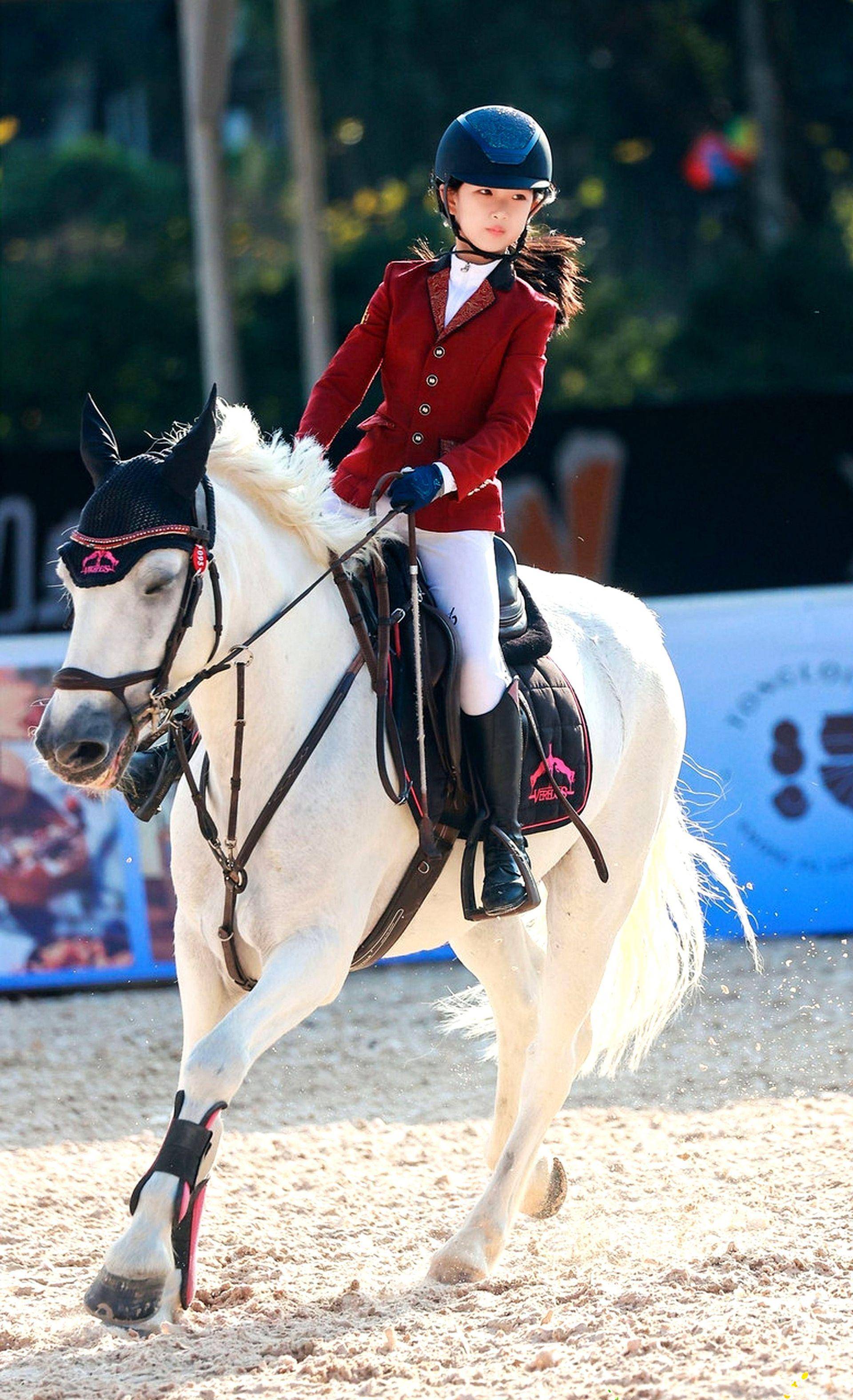 马术比赛:优雅与力量的结合 马术比赛:优雅与力量的结合