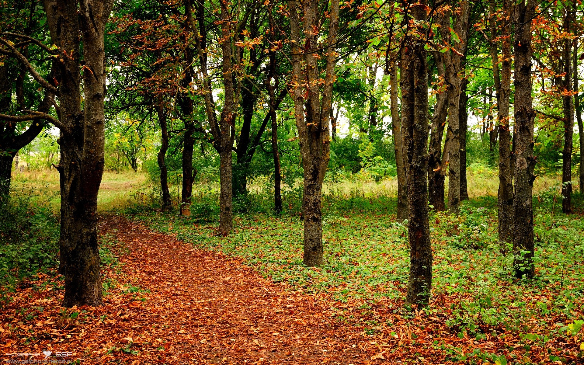 星空体育网页-国足展现强大实力，晋级国际赛决赛，国足展现强大实力,晋级国际赛决赛是哪一集