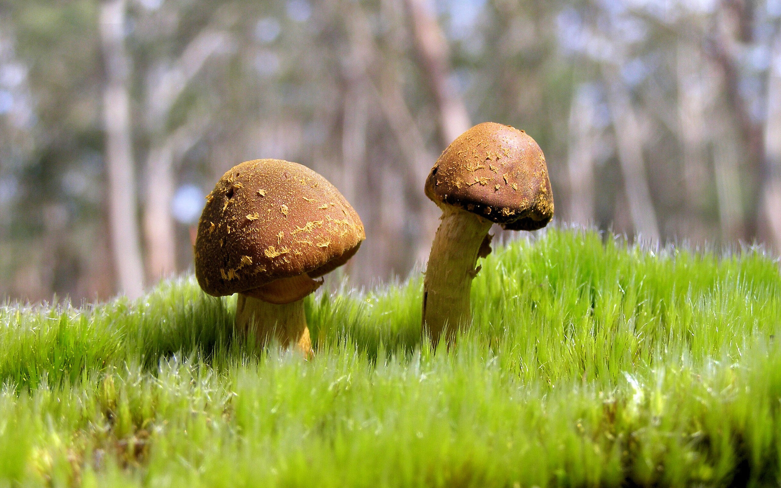 星空体育入口-对手神勇表现，主场作战岌岌可危，对手球队