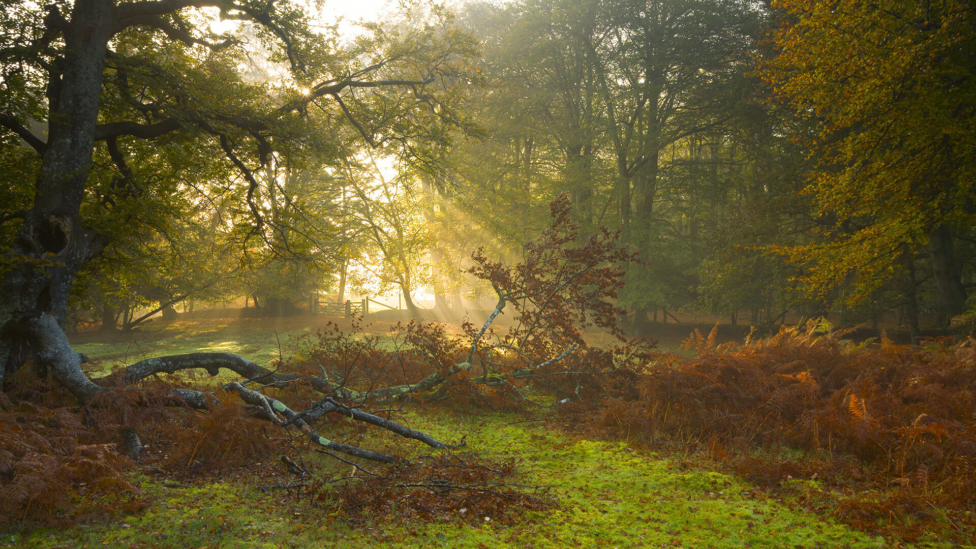 篮球专项训练中的训练负荷科学调控,篮球负重训练买多重的合适