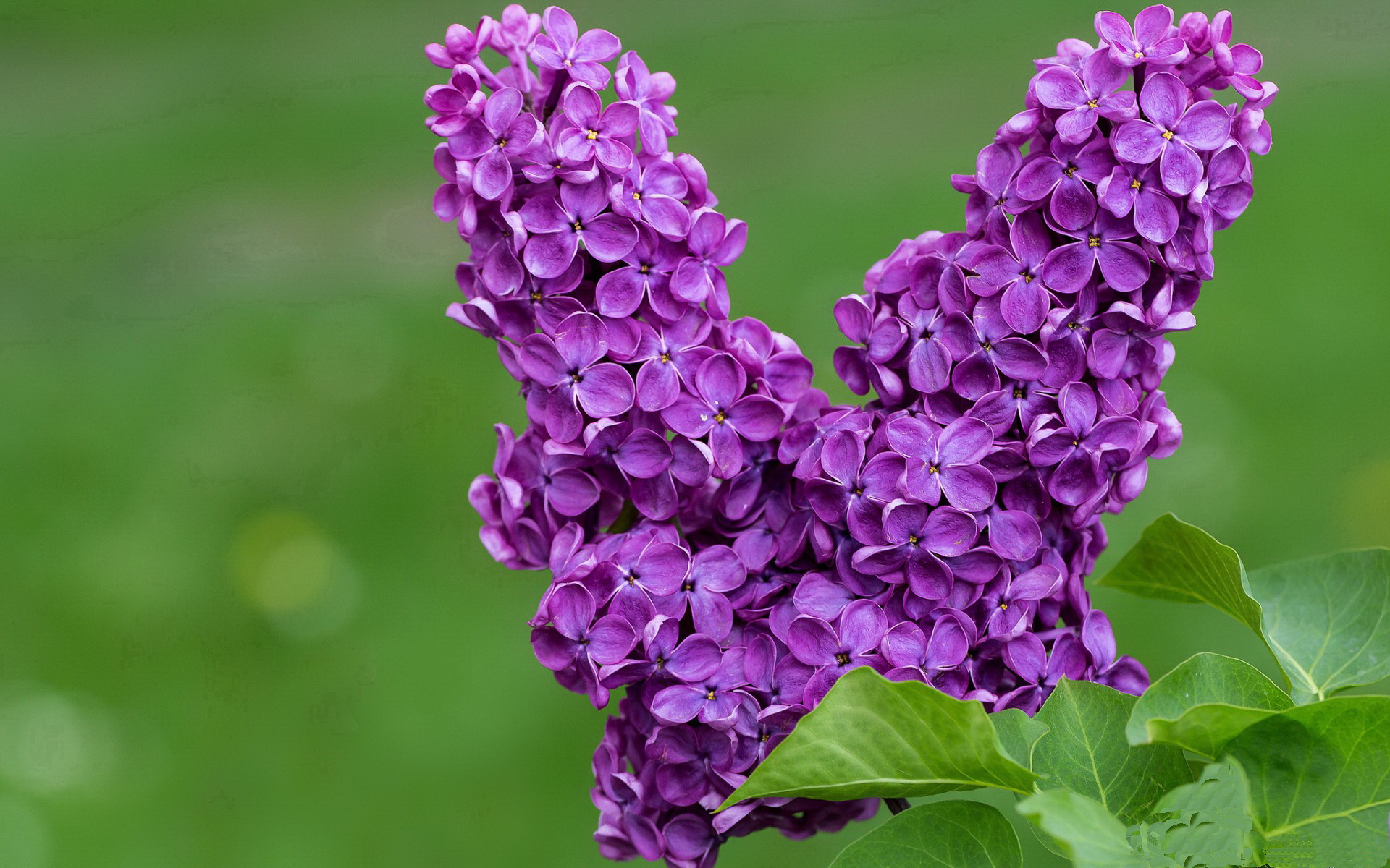 星空体育中国-体育文化交流活动丰富多彩，体育交流活动简讯