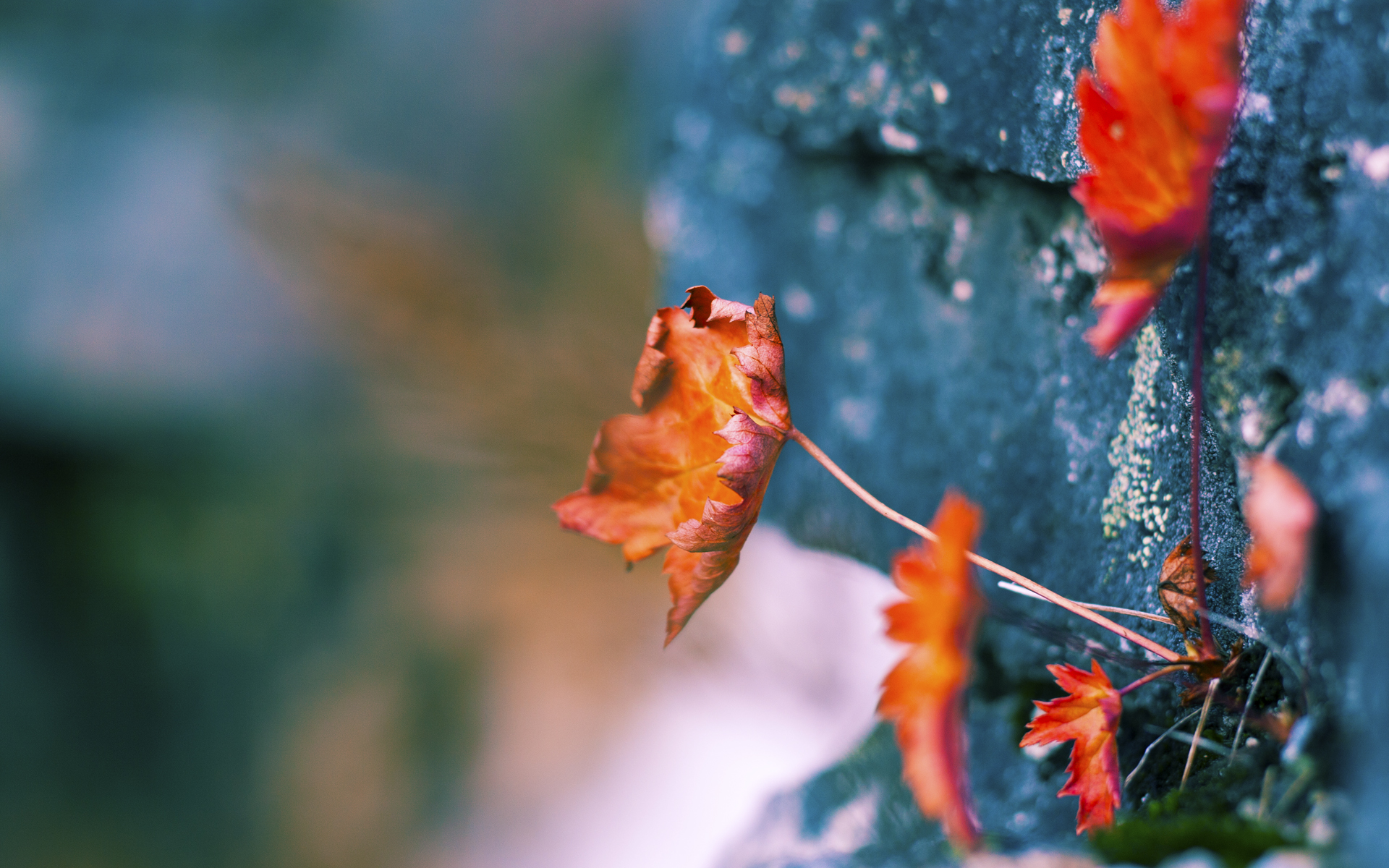 StarSky Sporting下载-足球解说内容专业度提升空间大，足球解说工作