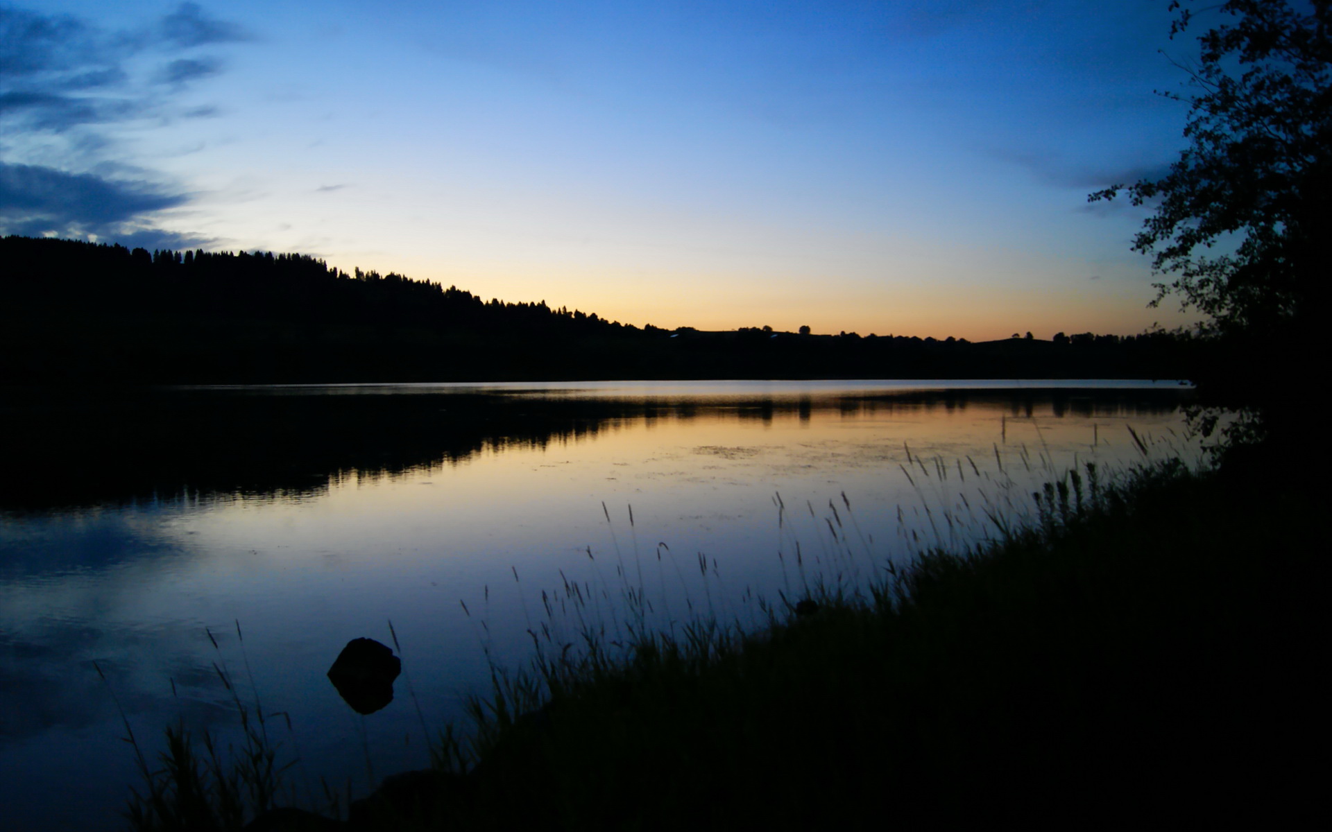星空体育娱乐-南非羚羊队的进攻体系：宽阔场地上快速打击，直指对方心脏，南非羚羊皮可以干嘛用