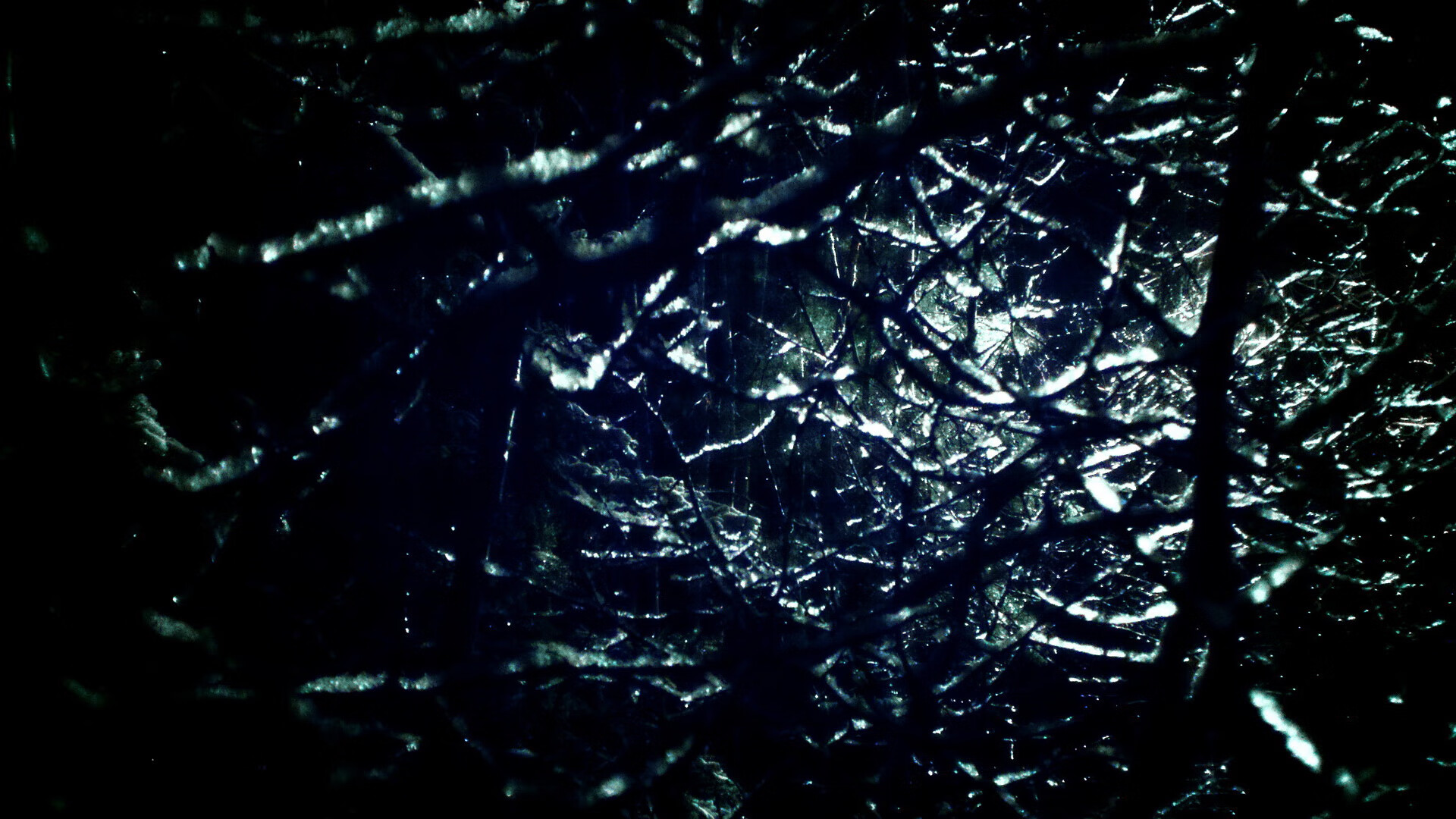 星空体育入口-奥卡拉汉冲线速度惊艳全场，奥卡拉汉 回忆