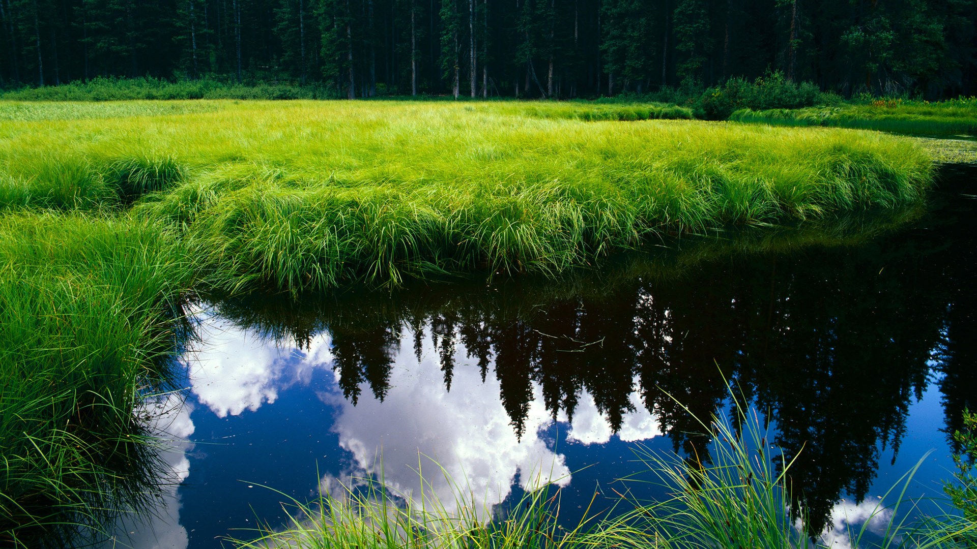 曼城终场绝杀切尔西完成复仇,曼城击败切尔西
