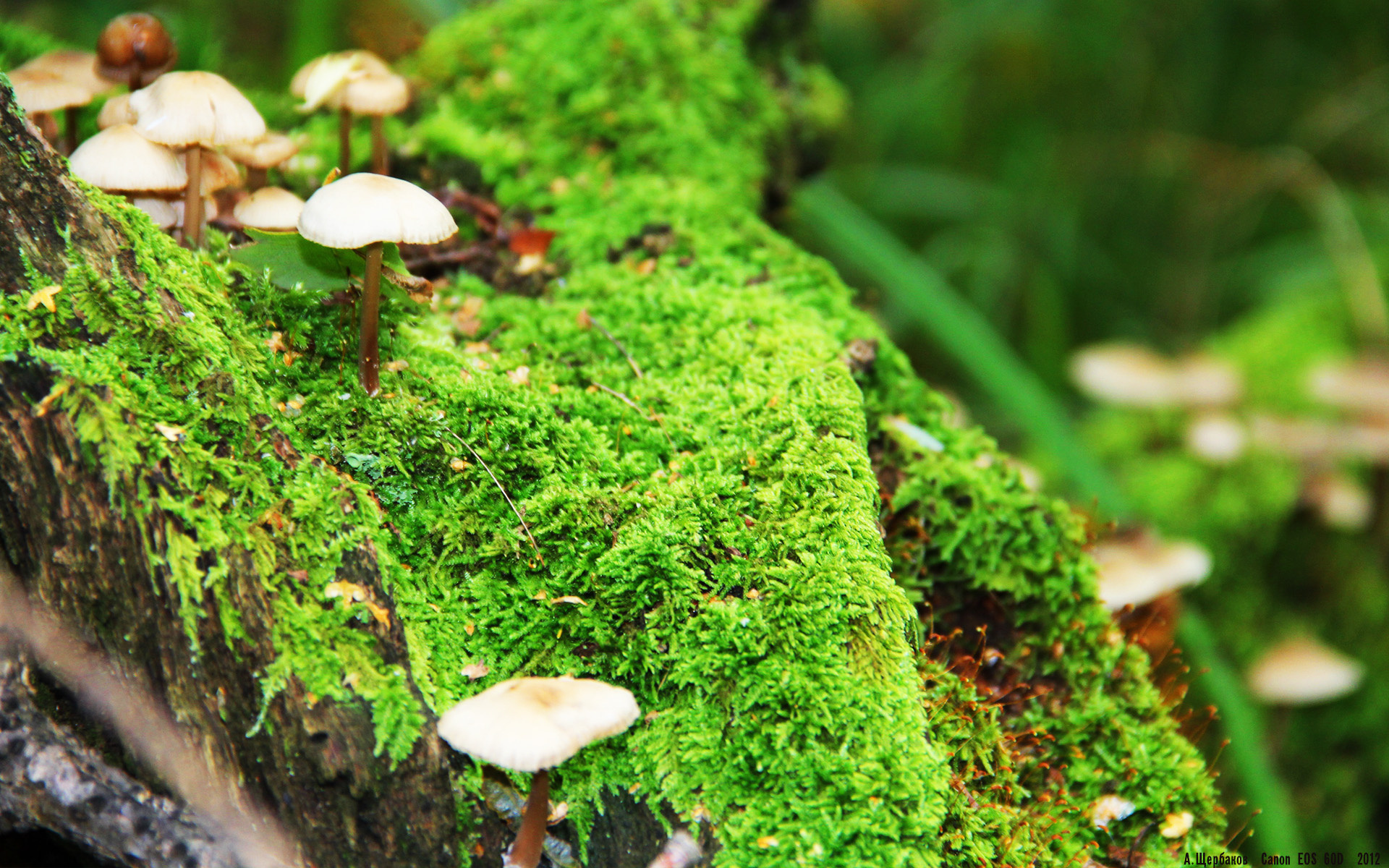 星空体育-西甲超级点球：紧张时刻，惊心动魄！，西甲点球榜